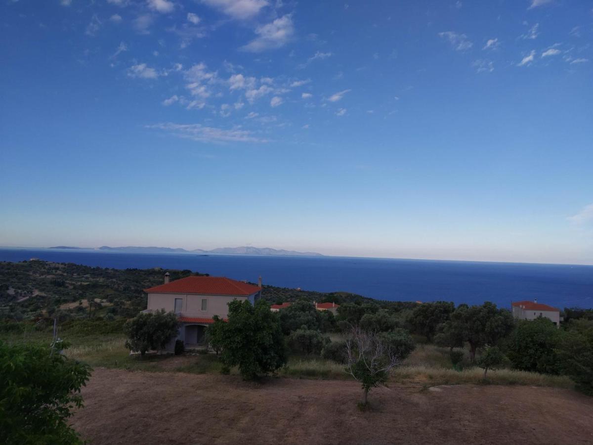 Ellina'S Home - Euboea Island Greece Оксилитос Экстерьер фото