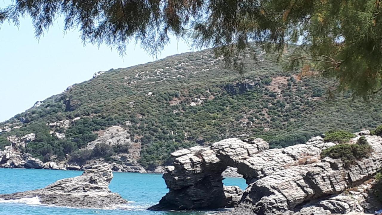 Ellina'S Home - Euboea Island Greece Оксилитос Экстерьер фото
