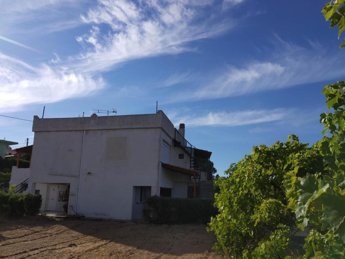 Ellina'S Home - Euboea Island Greece Оксилитос Экстерьер фото