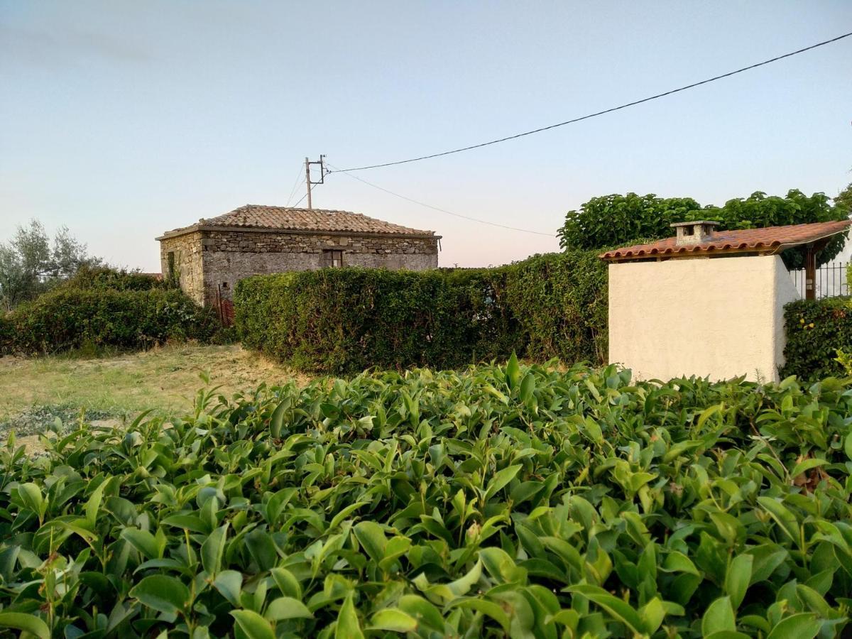 Ellina'S Home - Euboea Island Greece Оксилитос Экстерьер фото